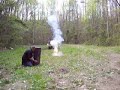Camo Knights golf ball launcher 20 secs hang time like tannerite redneck games