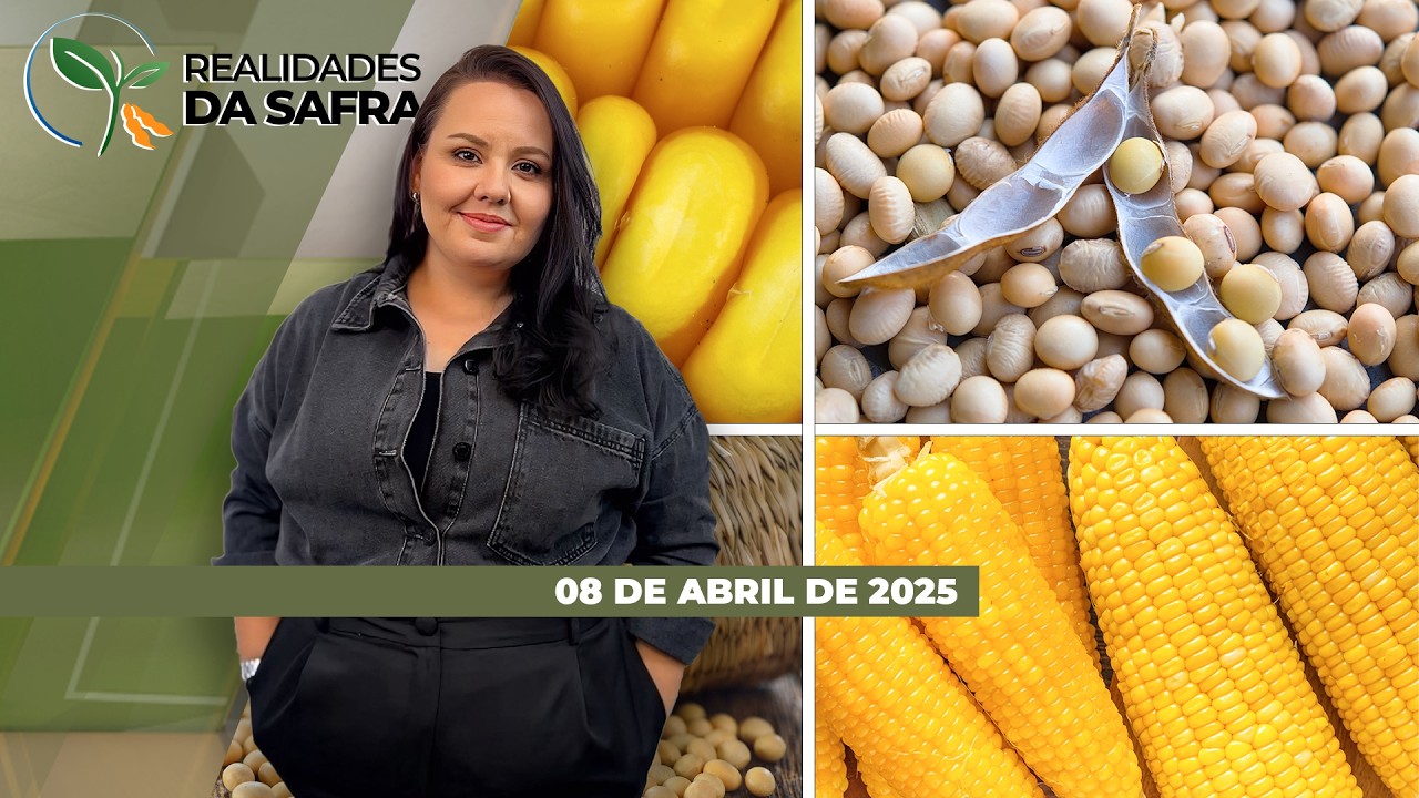 REALIDADES DA SAFRA - EDIÇÃO 08/04/2026