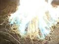 Reacción en cadena con fuego Video