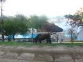 Paisagem na janela