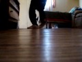 polixita y sonrry.wmv
