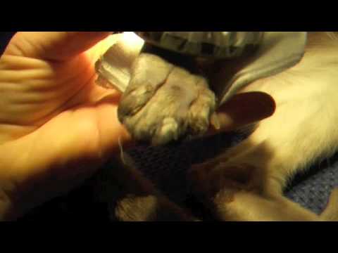 Guarda il video >>