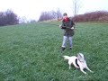 Reizangeltraining mit Sancho Reizangeltraining mit Sancho
