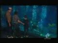 Walt Disney World - DiveQuest Walt Disney World - DiveQuest