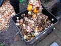 Woodchips and Excess Worms