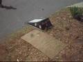 skate video