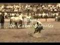 2° Rodeio Crioulo do Alegrete
