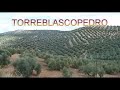 torreblascopedro