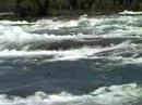 Visit to niagara falls