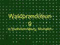 Waldbrandübung Bartholomäberg, EC 135, Agusta Bell 212, Alouette III