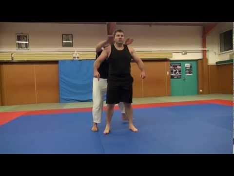 BJJ - Standing rear naked choke defense