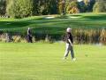 videos de Synchronized golfing