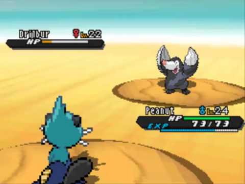 pokemon black pokemon black