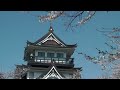 横手城と桜  Yokote Castle and Cherry Blossoms 横手城
