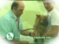 Centro Médico Veterinário Dr. Leonardo Torres