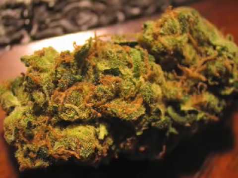 sour desil weed