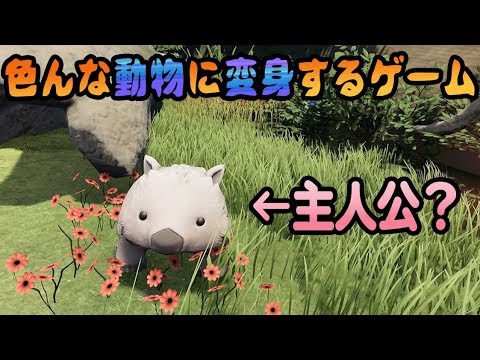 動画