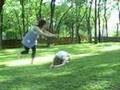 clip video A Bug's Life Seed To Tree