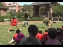 Gladiators - Part Two