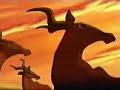 Lion King( leijona kuningas)