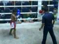 muay thai kids