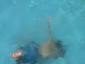How to swim