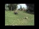 videos de Tonky