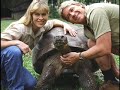 Steve Irwin Tribute