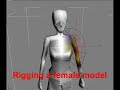 Rigging a female character in 3ds max