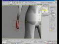 Rigging a female character in 3ds max