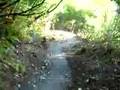 SCA Trail Project