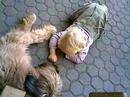 My Briard Annie & a little girl My Briard Annie & a little girl