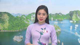 Truyền hình Hạ Long ngày 11-11-2021