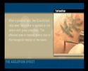 Tattoo removal with Q-Switched laser from Asclepion
