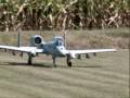 A-10 Thunderbolt II- Manifestazione G.A.P. Pianezza