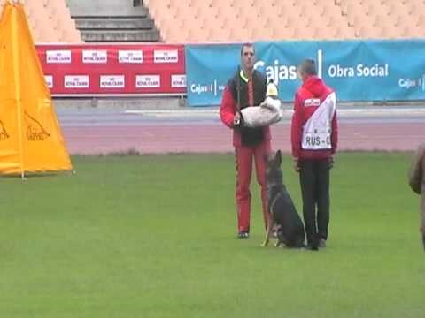 WUSV 2010 - S|-