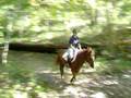 Flicka Crosscountry! (2)