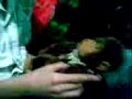 videos de JAJAJAJAA El monito de nadu!