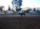 Porthos 27/3 -08