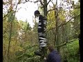 The duck tape, the tree, the Larsi