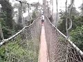 Kukom Rainforest Ghana Africa