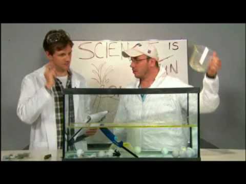 how to clean up bp oil spill