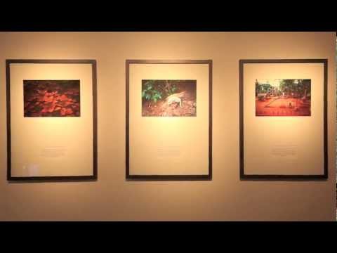 From Quill to Canvas