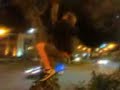 BUSH DIVING 3 BUSH DIVING 3