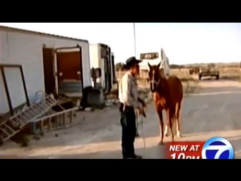 Man Films Horse Killing to Send Message to Activists Video