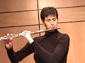 Telemann Flute Fantasie in b minor