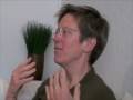 Jutta Treviranus on Innovation