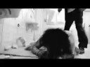 Quantum of Solace -- Extended Trailer (fanmade) Quantum of Solace -- Extended Trailer (fanmade)