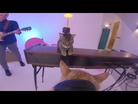 Image de prévisualisation YouTube