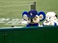 レオライナドアラ　20080531